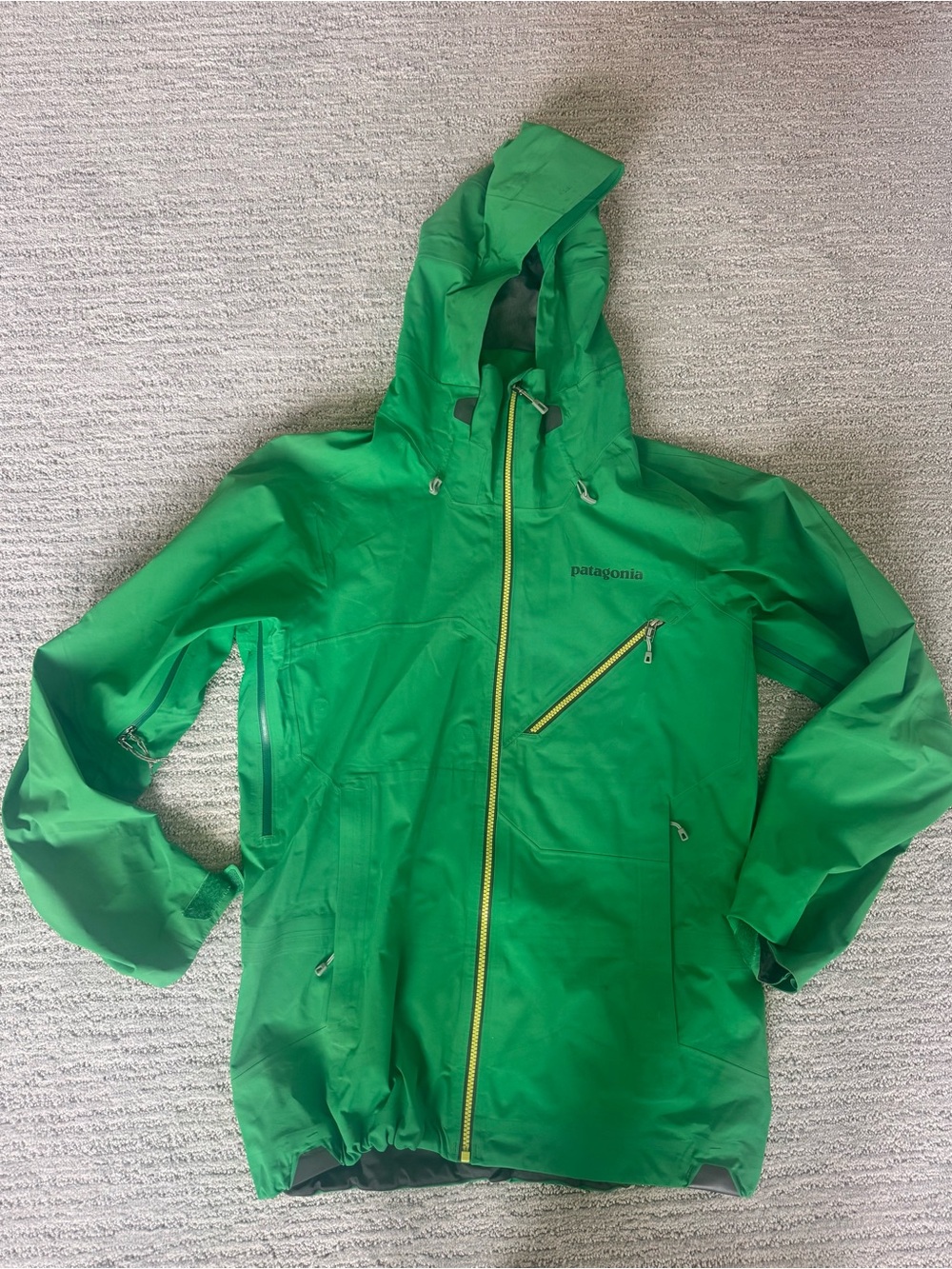 Patagonia Untracked GORE-TEX Ski Jacket Men’s Small Green RECCO